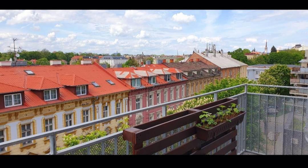 Apartman Jako Doma 奥洛穆茨 外观 照片